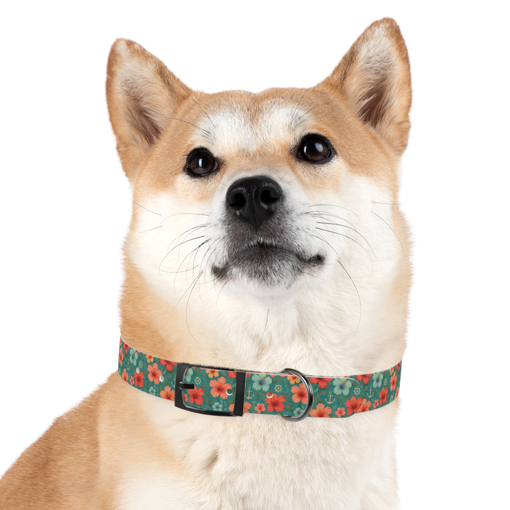 Tropical Hibiscus Pattern Dog Collar | Coral Floral on Teal