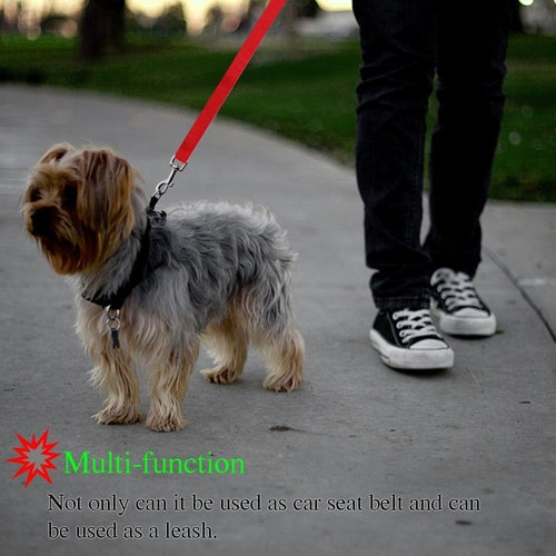 Secureflex Pet Safety Leash - Coastal Paw & Co