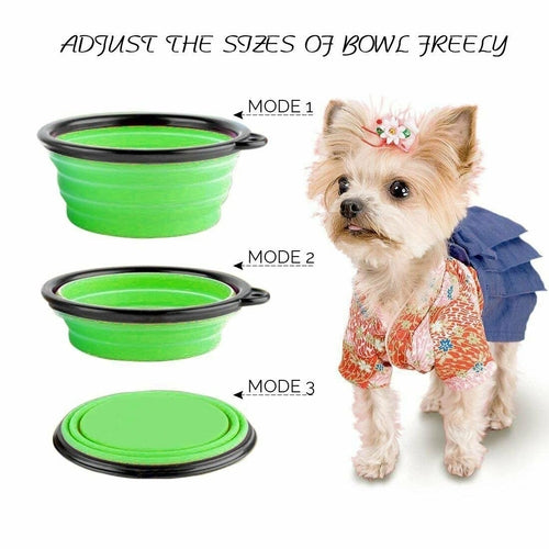 Collapsible Dog Bowls - Coastal Paw & Co