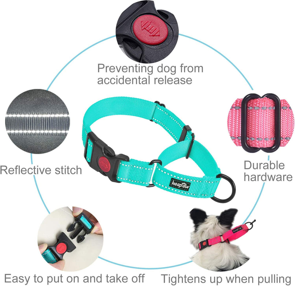 Martingale Dog Collar and Leash Set, turquoise