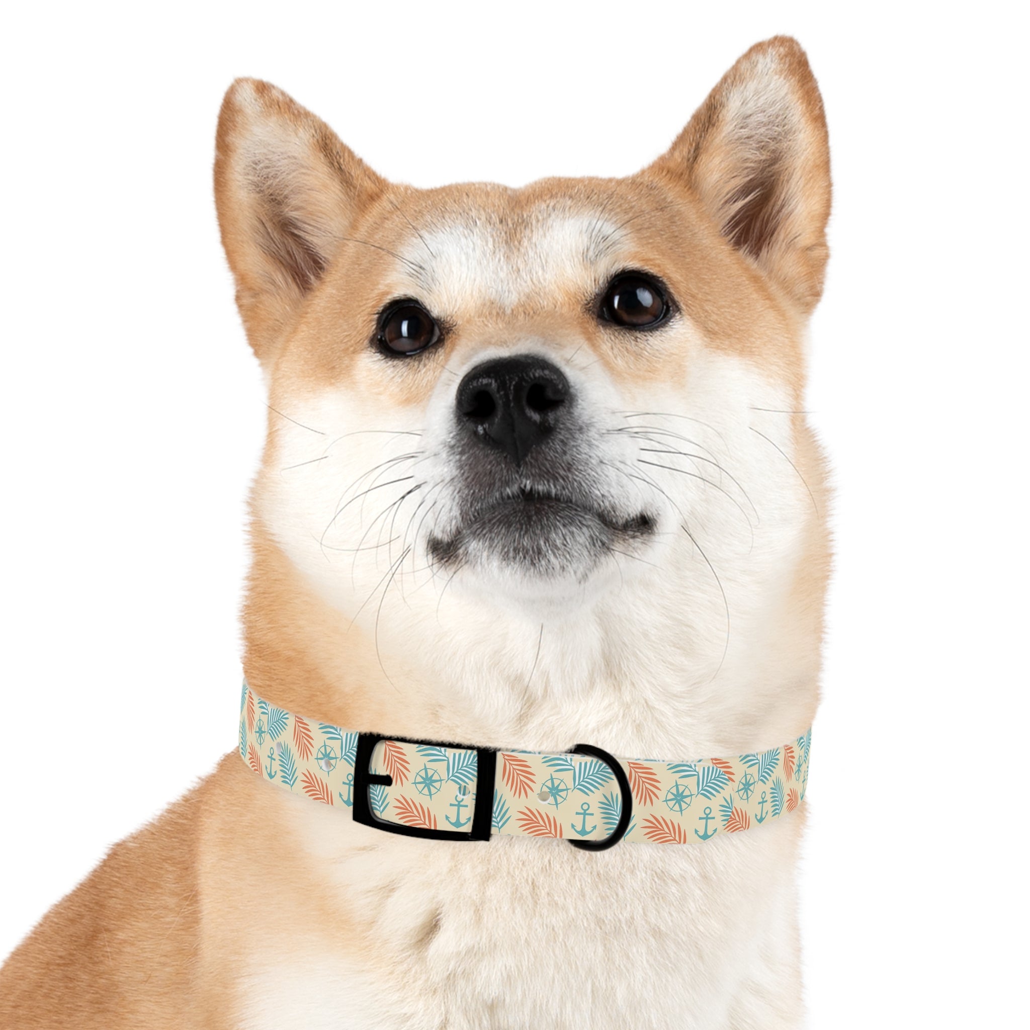 Coastal Breeze Waterproof Dog Collar