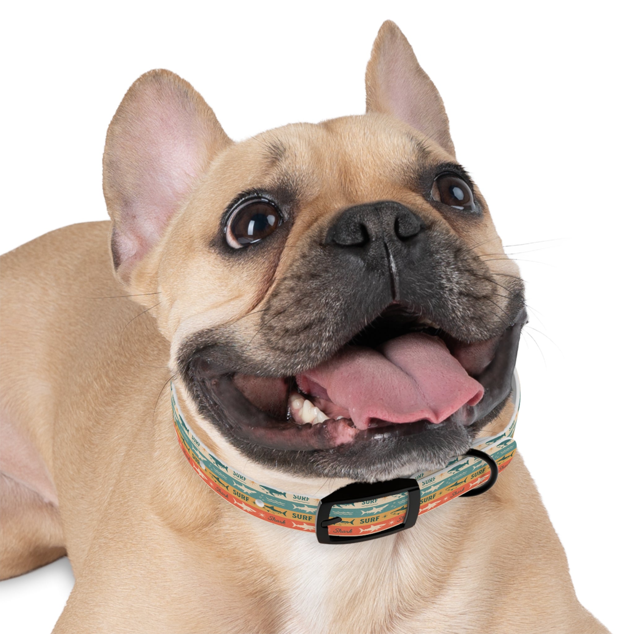 Retro Surf Sharks Dog Collar | Striped Beach Waves Pattern