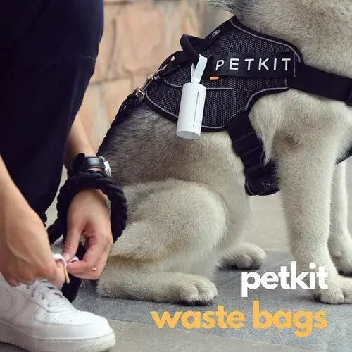 Person attaching white PETKIT dog waste bag dispenser to black harness on a light-colored dog