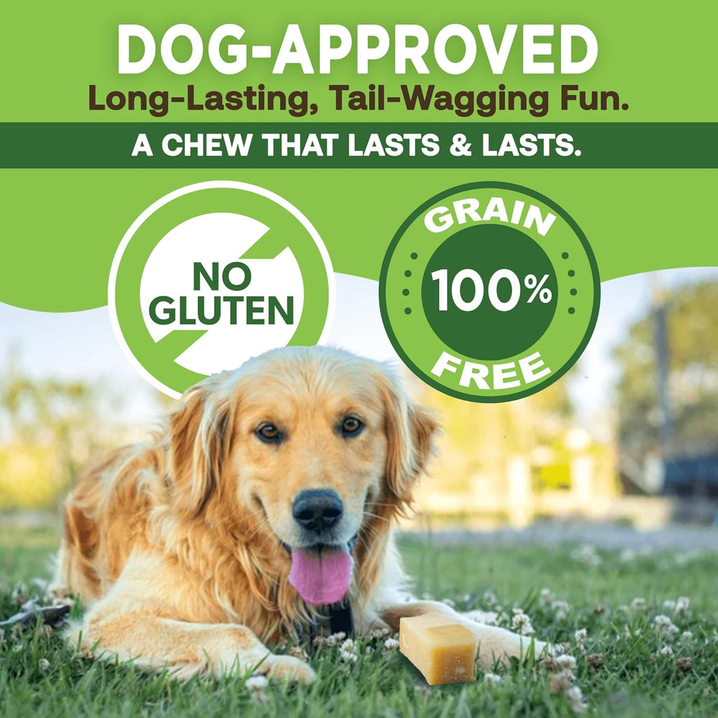 Gold Yak Chews for Medium Dogs (3 Medium Sized Chews) - Coastal Paw & Co