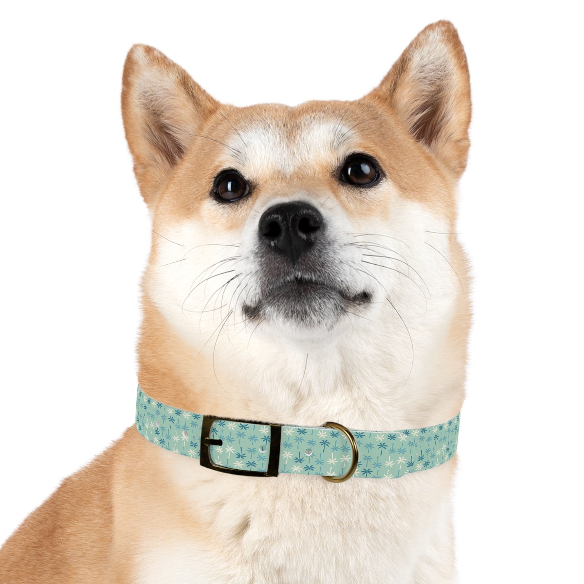 Teal Palm Trees Dog Collar | Tropical Pattern, Teal Palm Print
