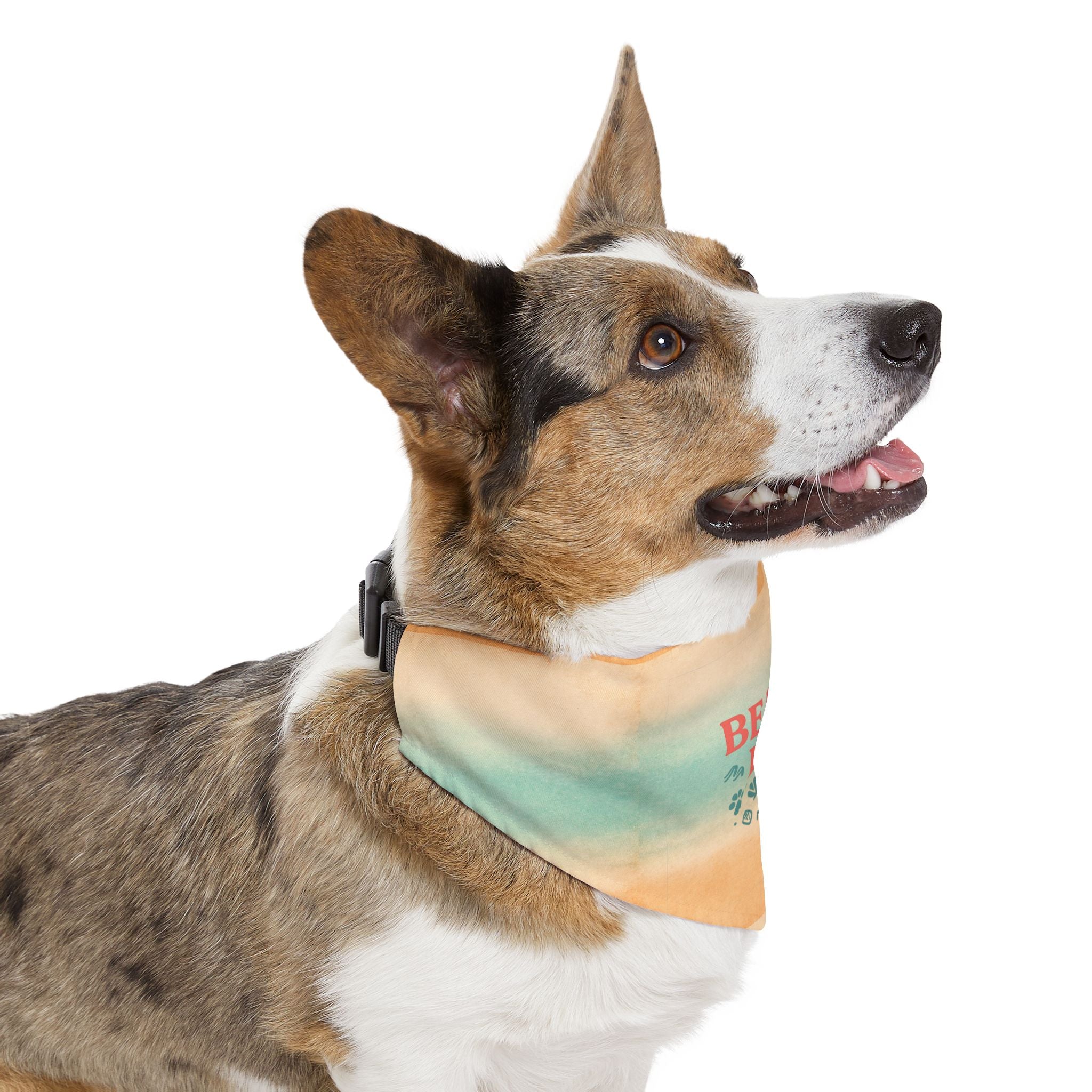 Beach Life Pet Bandana Collar | Coastal Anchor Paw Print