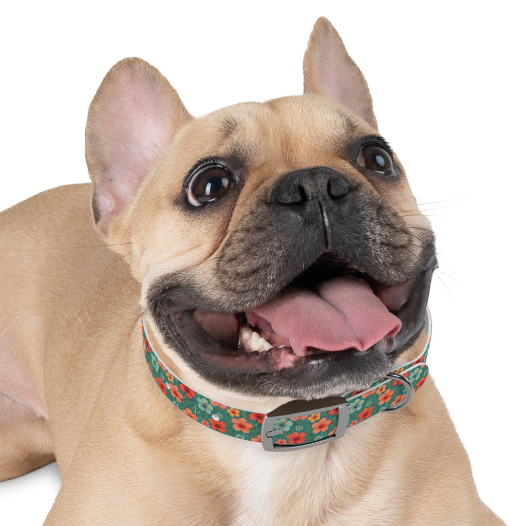 Tropical Hibiscus Pattern Dog Collar | Coral Floral on Teal