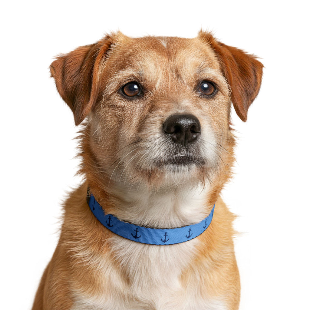 Nautical Anchor Pattern Clip-on Pet Collar | Blue Dog Collar