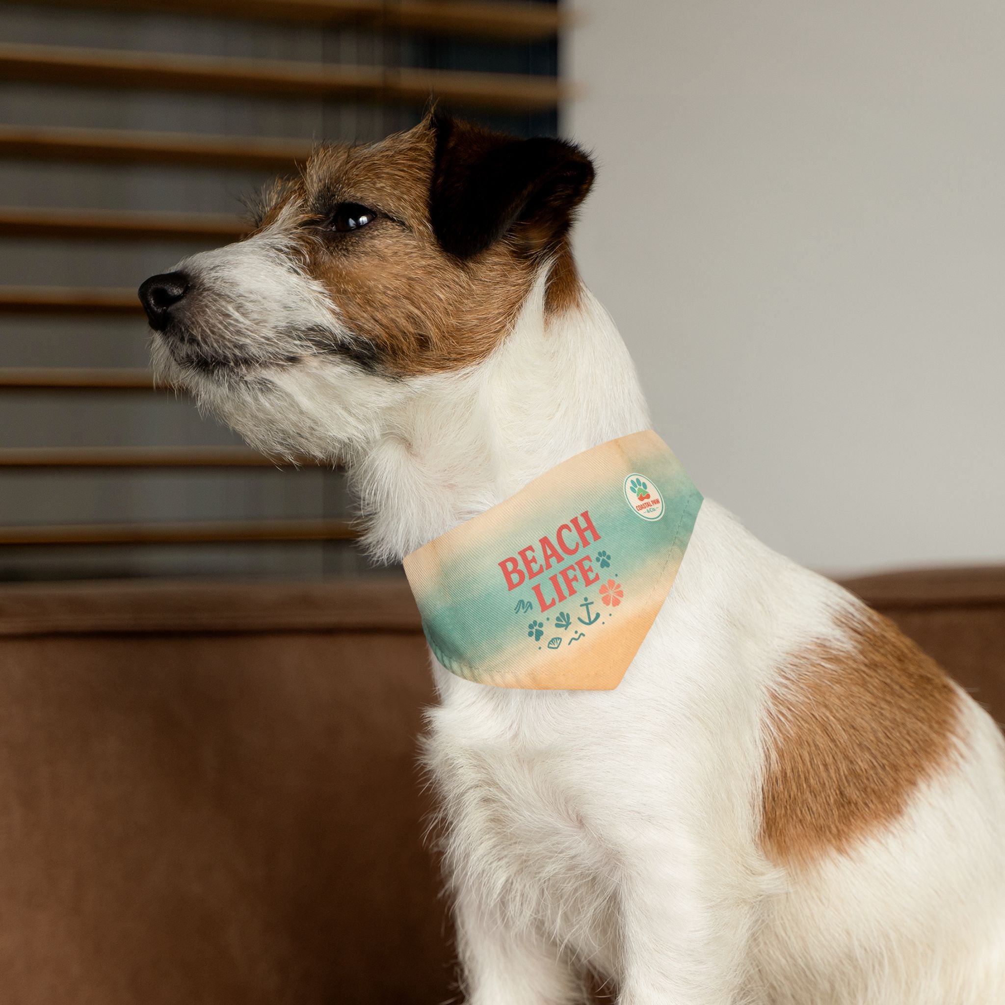 Beach Life Pet Bandana Collar | Coastal Anchor Paw Print