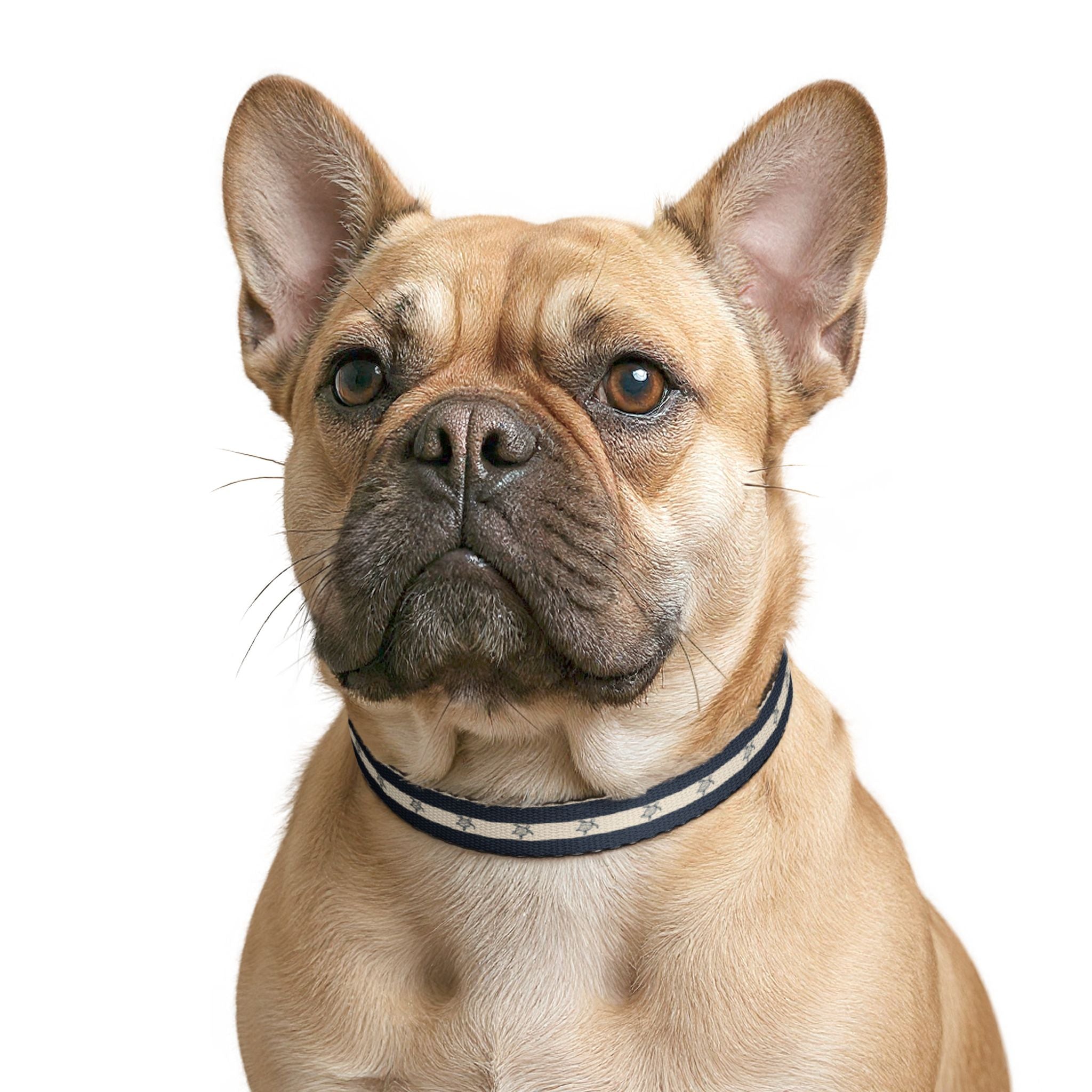 Nautical Turtle Pattern Clip-on Pet Collar | Navy Stripe Collar