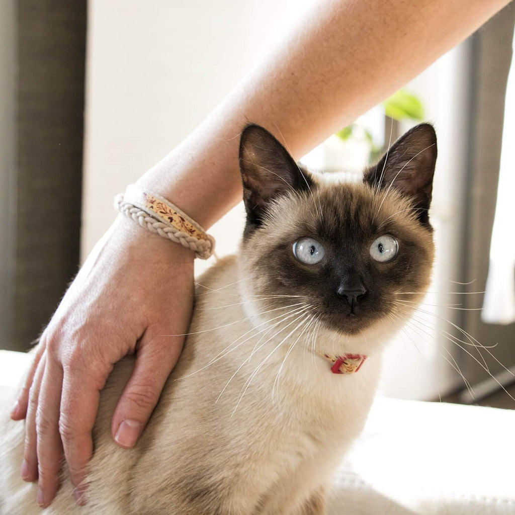 Breakaway Cat Collar & Matching Friendship Bracelet – Adjustable, Soft Cotton Collar for Cats, Quick-Release Safety Buckle, Lightweight, Stylish, Anti-Lost ID Tag, Red