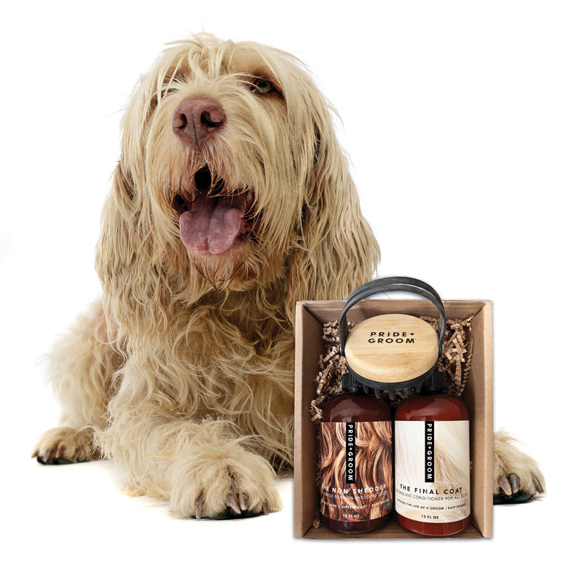 THE BATH BRUSH Dual-Use Silicone Grooming Brush — De-Shedding, Massaging & Waterproof Tool for Dogs - Coastal Paw & Co