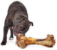 Giant Dog Bone - Grass-Fed Beef Femur Bone for Large Dogs - Coastal Paw & Co