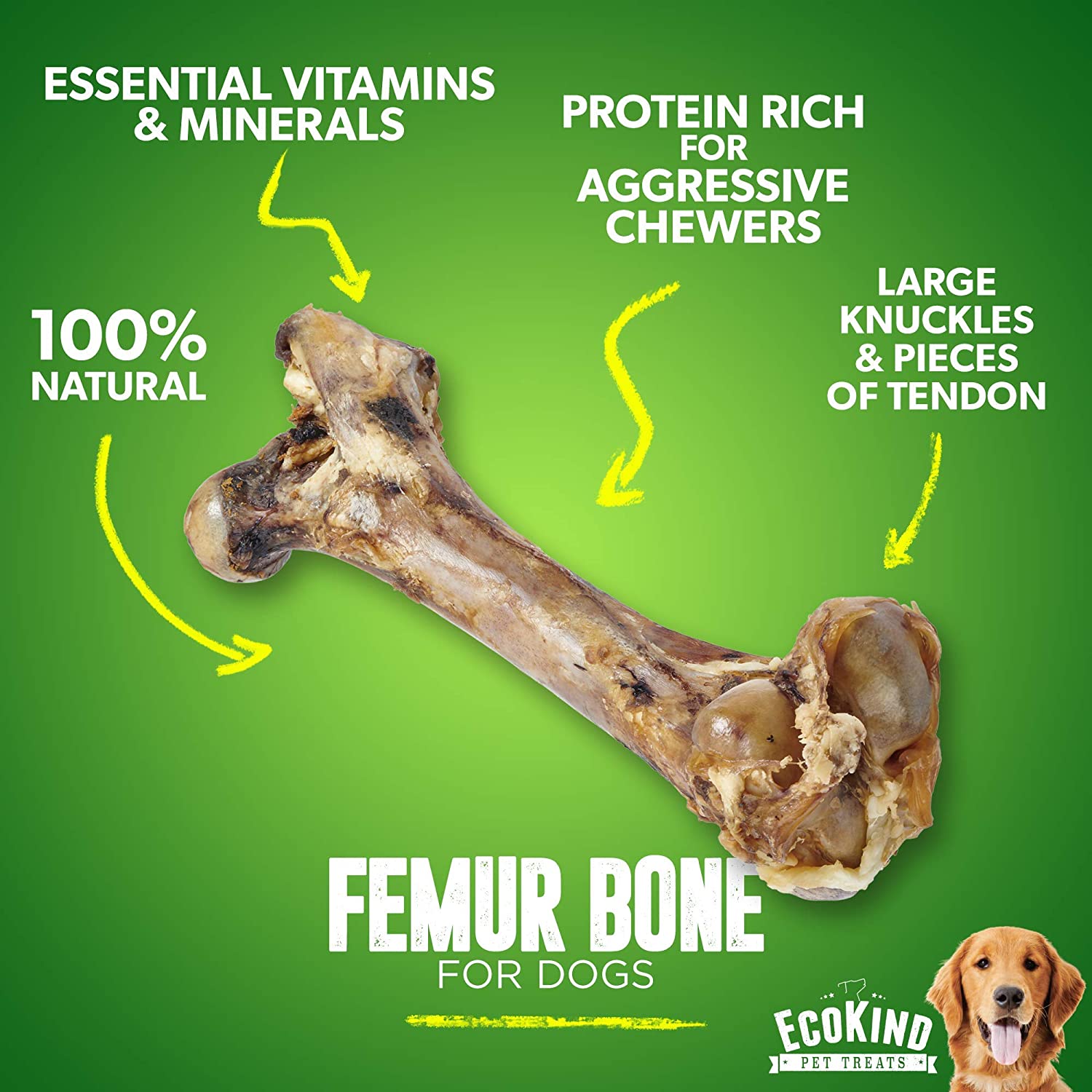 Giant Dog Bone - Grass-Fed Beef Femur Bone for Large Dogs - Coastal Paw & Co