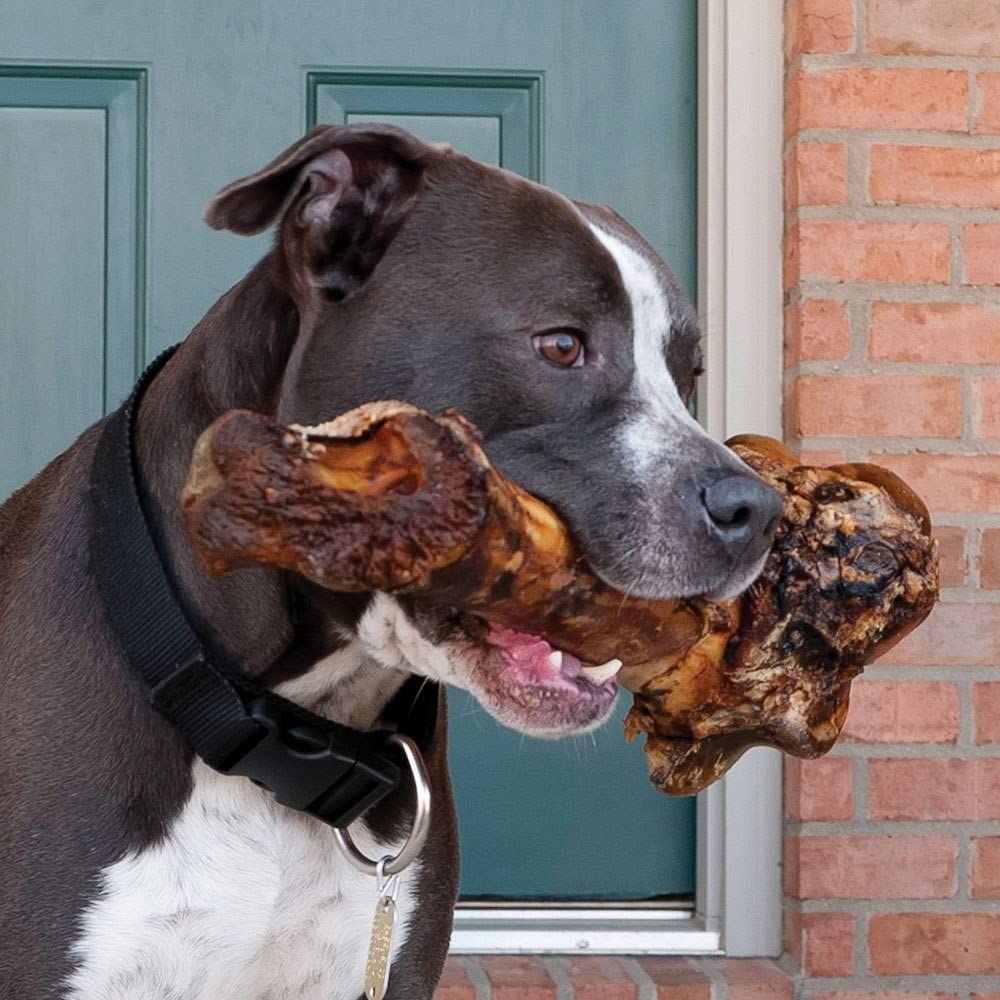 Giant Dog Bone - Grass-Fed Beef Femur Bone for Large Dogs - Coastal Paw & Co