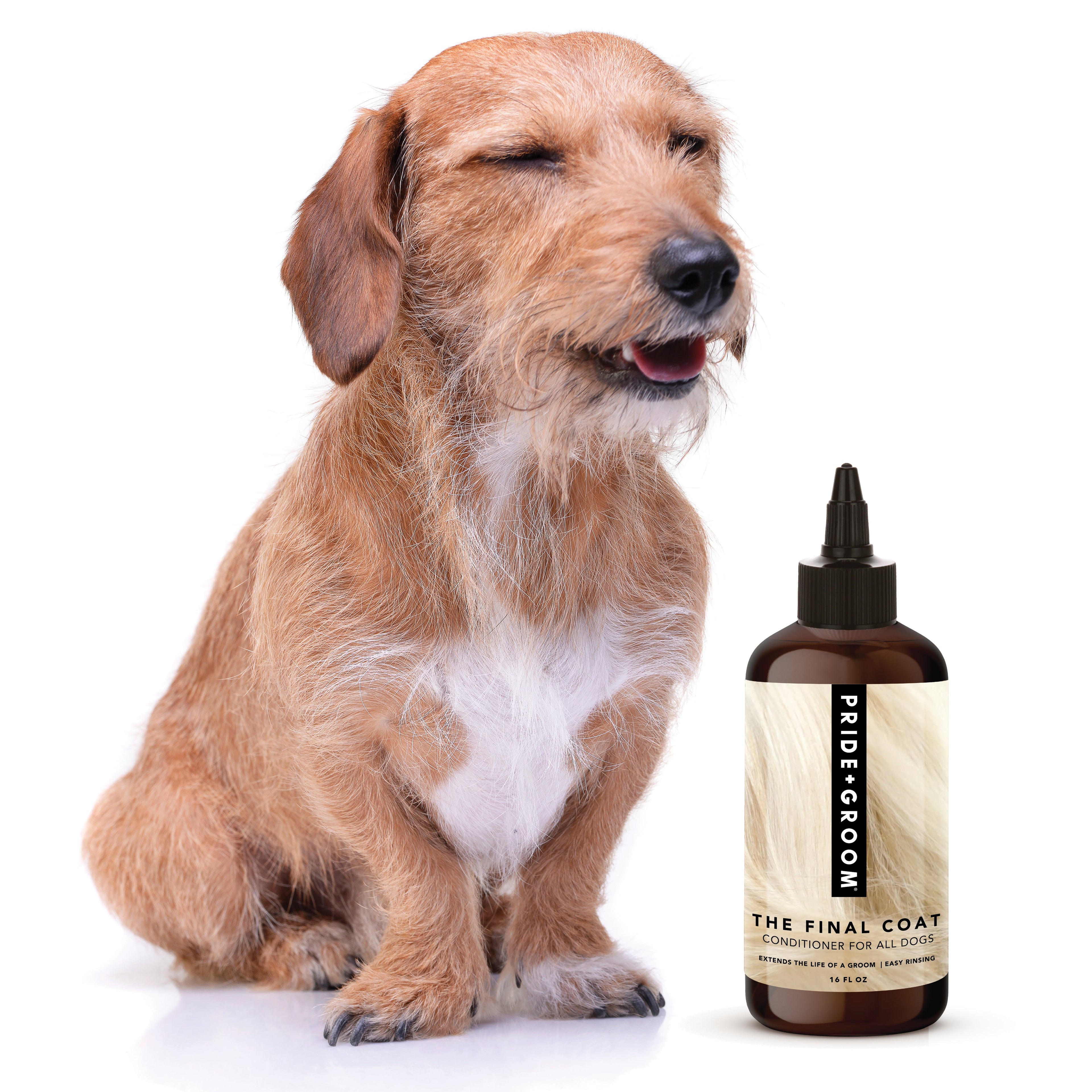 THE FINAL COAT Dog Conditioner — All-Natural, Vegan, Hypoallergenic Conditioner for a Soft, Shiny Coat - Coastal Paw & Co