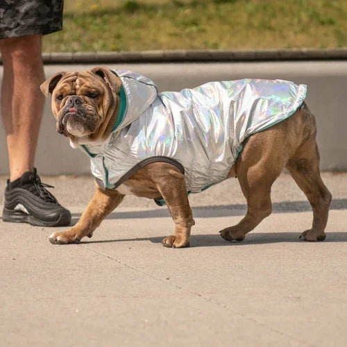 Reversible Raincoat with hood- Neon Aqua with Iridescent print Coastal Paw & Co