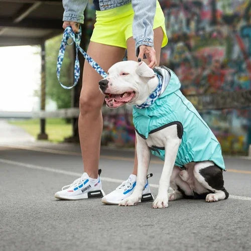 Reversible Raincoat with hood- Neon Aqua with Iridescent print Coastal Paw & Co