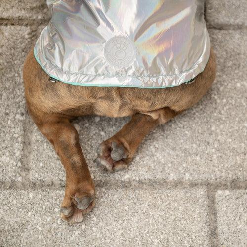 Reversible Raincoat with hood- Neon Aqua with Iridescent print Coastal Paw & Co