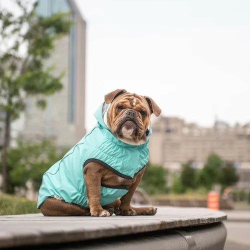 Reversible Raincoat with hood- Neon Aqua with Iridescent print Coastal Paw & Co