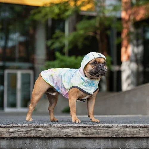 Reversible Raincoat with hood- Neon Aqua with Iridescent print Coastal Paw & Co