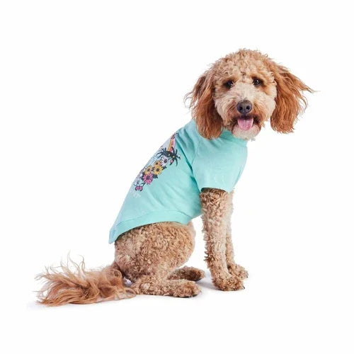 Graphic Aqua Pet Tee Coastal Paw & Co
