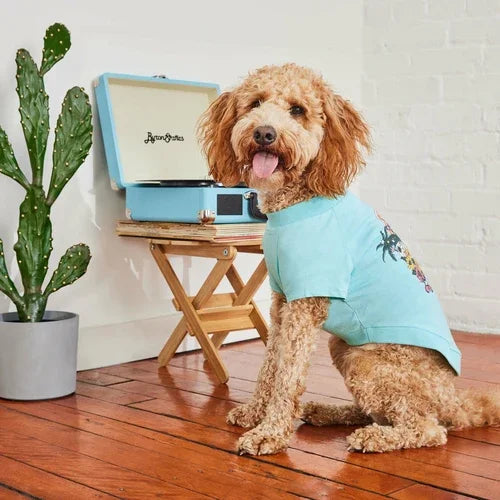 Graphic Aqua Pet Tee Coastal Paw & Co