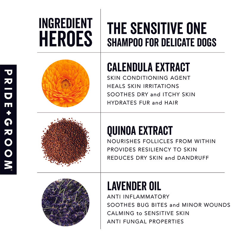 THE SENSITIVE ONE Hypoallergenic Dog & Puppy Shampoo — With Hemp Oil, Aloe & Oatmeal for Sensitive Skin - Coastal Paw & Co