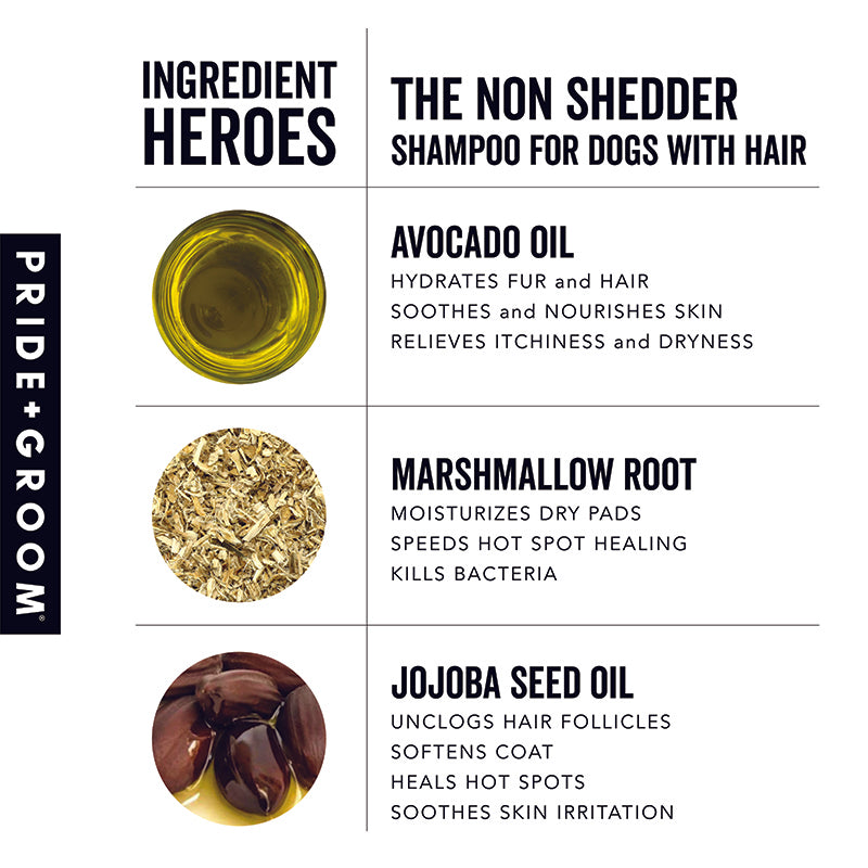 THE NON SHEDDER Dog Shampoo — Hydrating, Detangling, Hypoallergenic Formula for Doodles and all Non-Shedding Breeds - Coastal Paw & Co