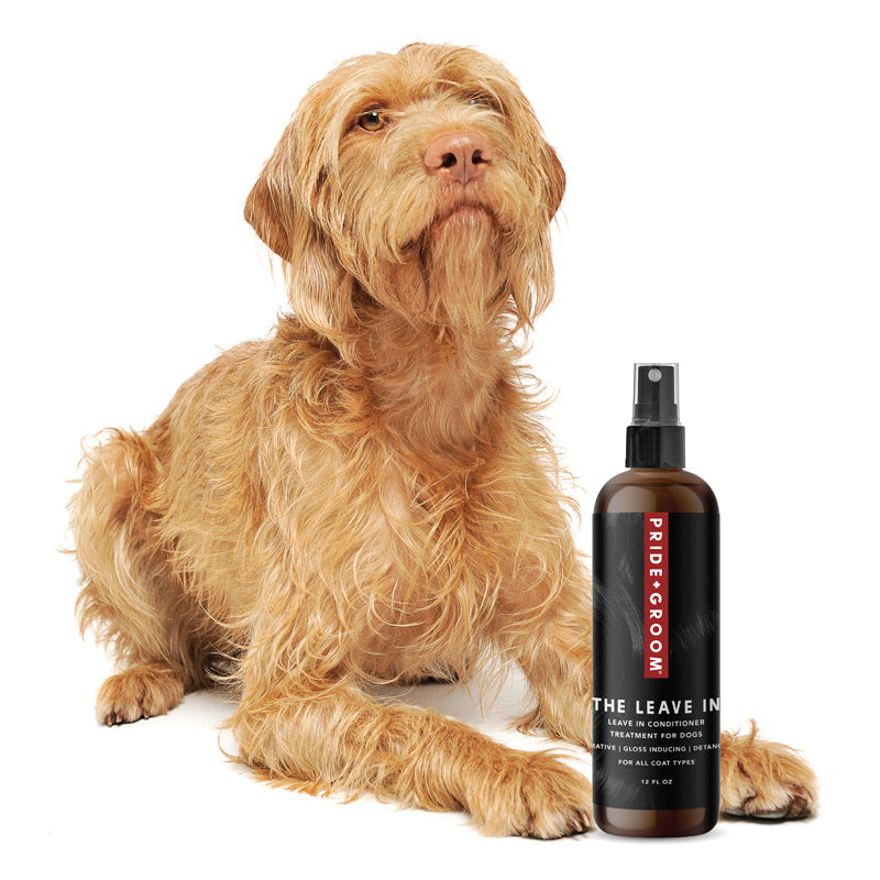 THE LEAVE IN Dog Detangling Leave in Spray — Detangling, Moisturizing & Conditioning Leave In Spray for Dogs - Coastal Paw & Co