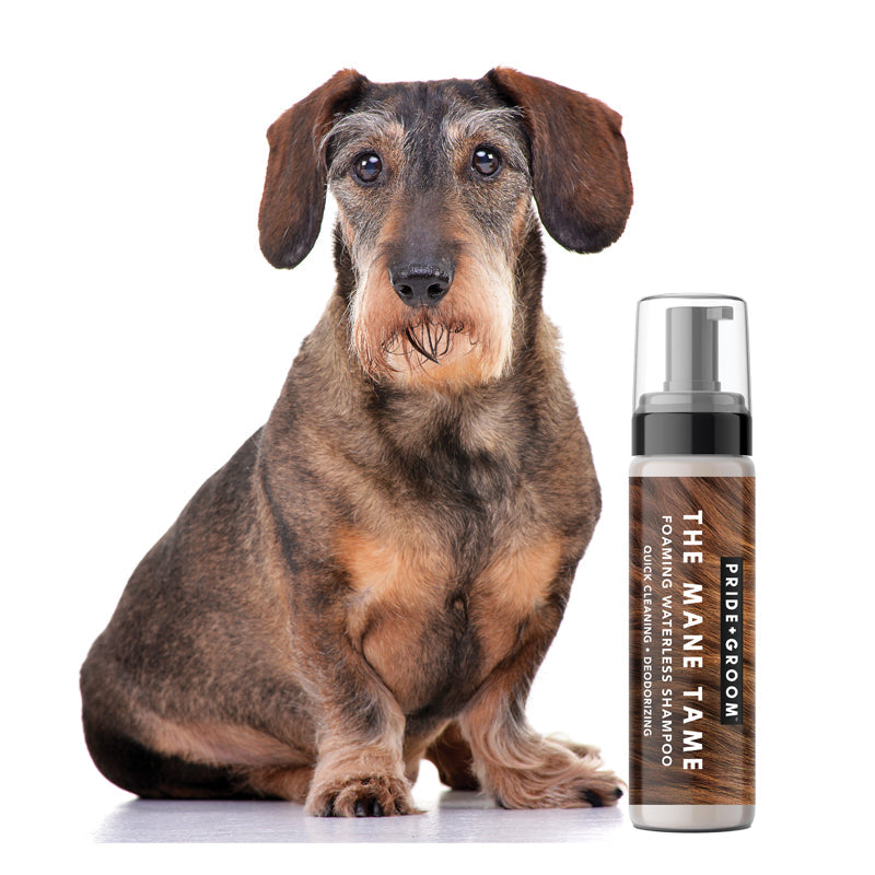 THE MANE TAME Waterless Dog & Cat Shampoo — No-Rinse Pet Grooming and Quick Cleaning - Coastal Paw & Co