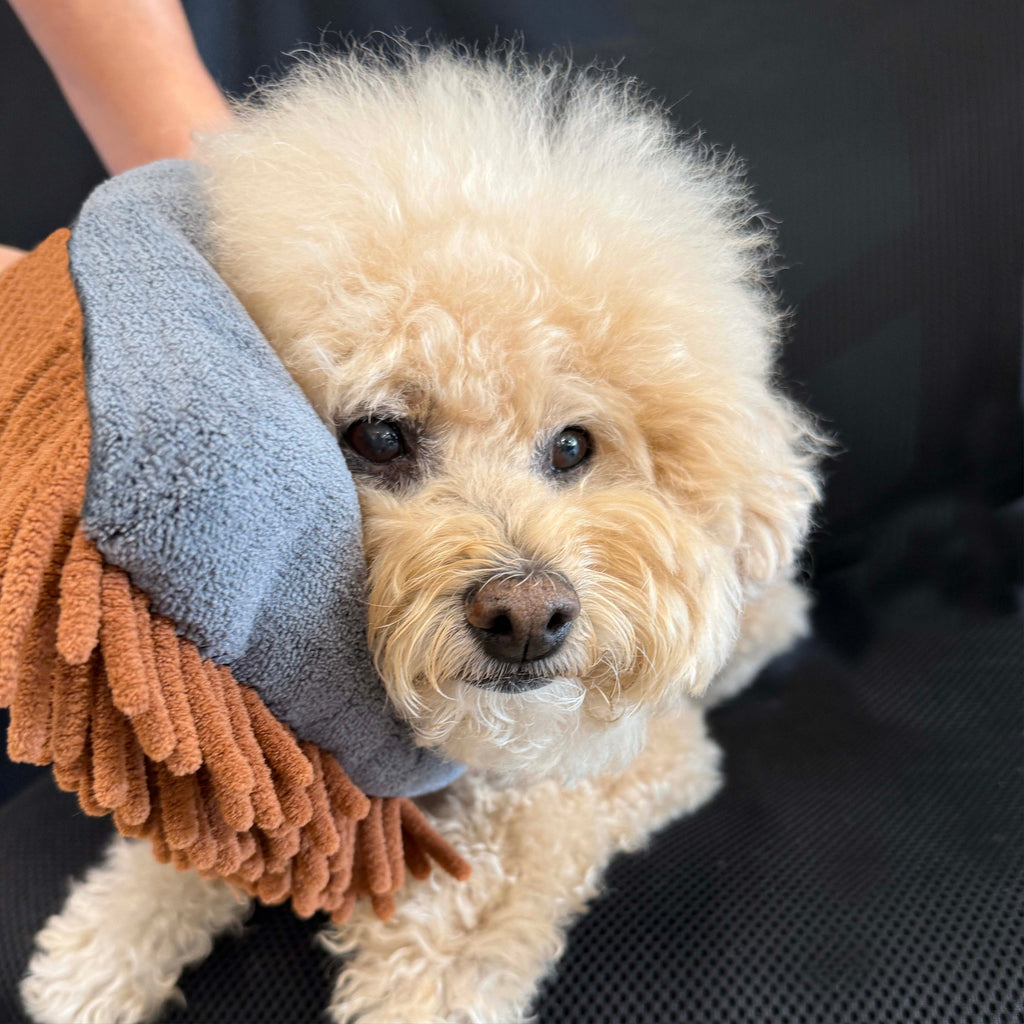 THE MAGIC MITT Dual-Sided Microfiber Grooming Mitt for Dogs & Cats — Use with Waterless Shampoo - Coastal Paw & Co
