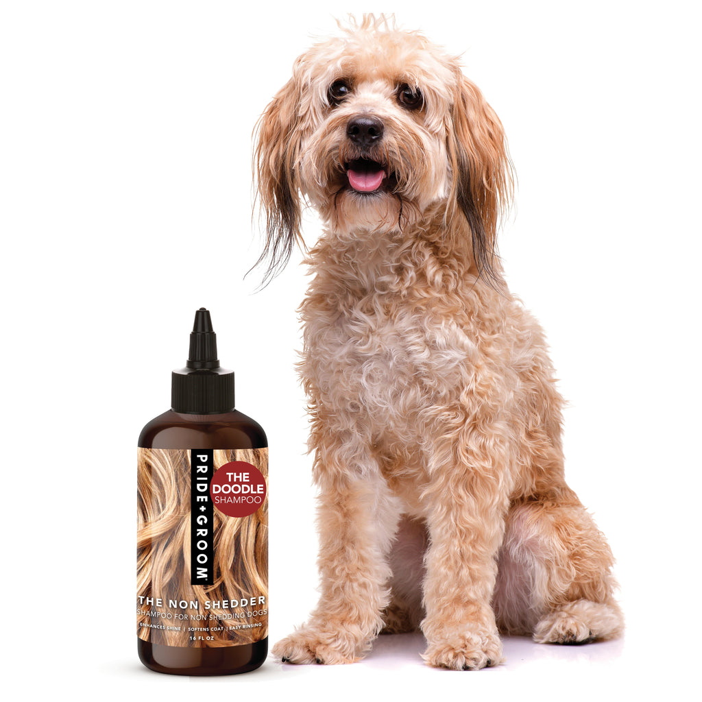 THE NON SHEDDER Dog Shampoo — Hydrating, Detangling, Hypoallergenic Formula for Doodles and all Non-Shedding Breeds - Coastal Paw & Co