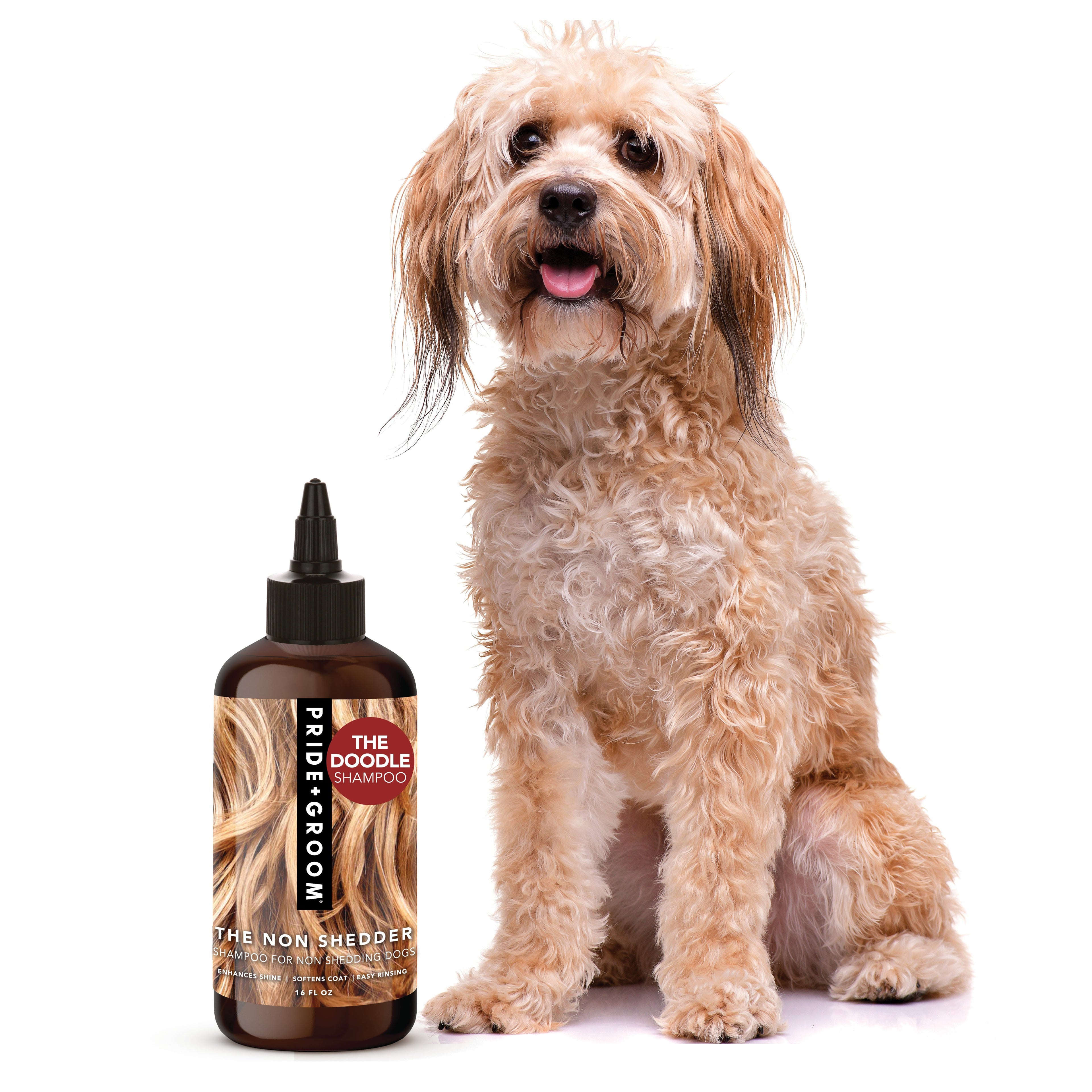 THE NON SHEDDER Dog Shampoo — Hydrating, Detangling, Hypoallergenic Formula for Doodles and all Non-Shedding Breeds - Coastal Paw & Co