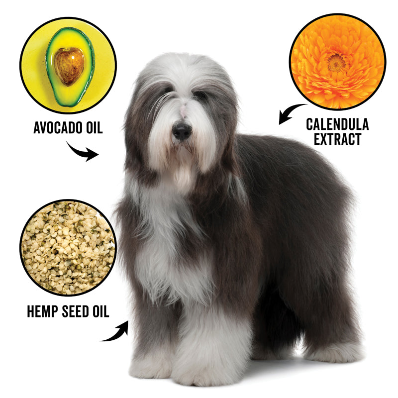 DOGDAYS Leave-In Detangling Spray — Hydrating, Frizz-Control Formula for All Coat Types - Coastal Paw & Co