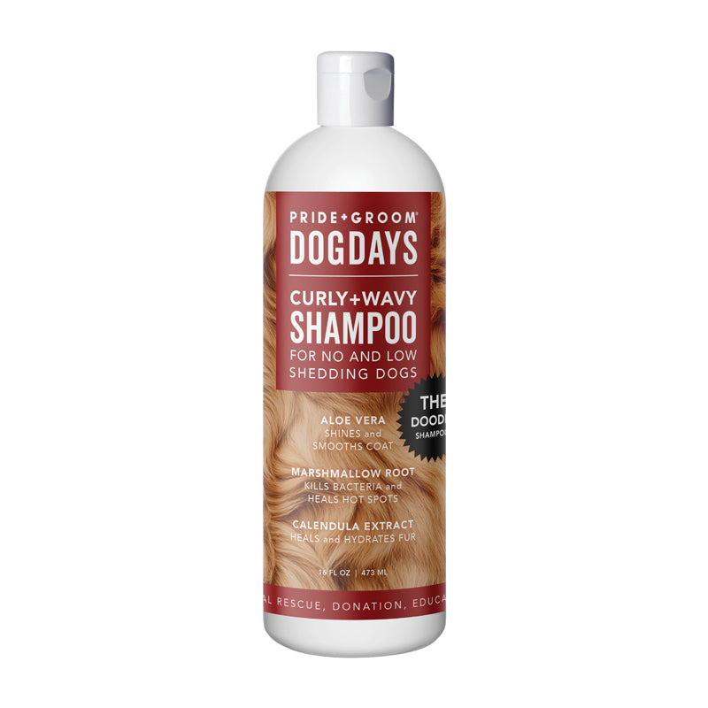 DOGDAYS Hydrating Dog Shampoo for Curly & Wavy Coats — Tear-Free, Vegan, and Hypoallergenic - Coastal Paw & Co