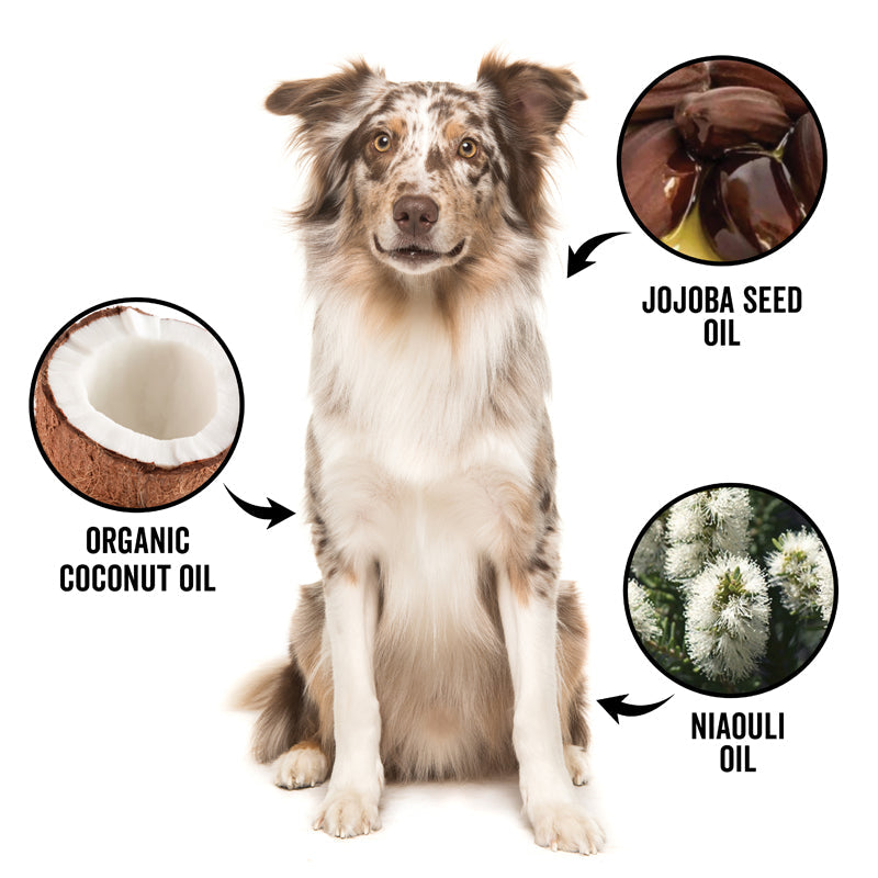DOGDAYS De-Shedding Shampoo — Deep Moisturizing Deshedding Formula for Dogs - Coastal Paw & Co