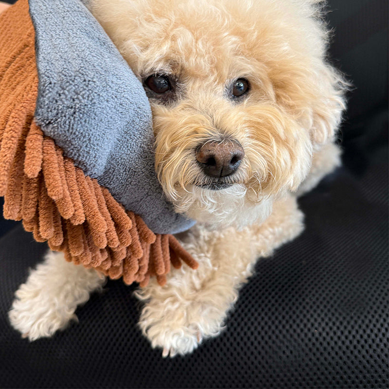 THE MITT KIT | Dog grooming set with waterless shampoo & dual-sided grooming mitt for dogs & cats. - Coastal Paw & Co