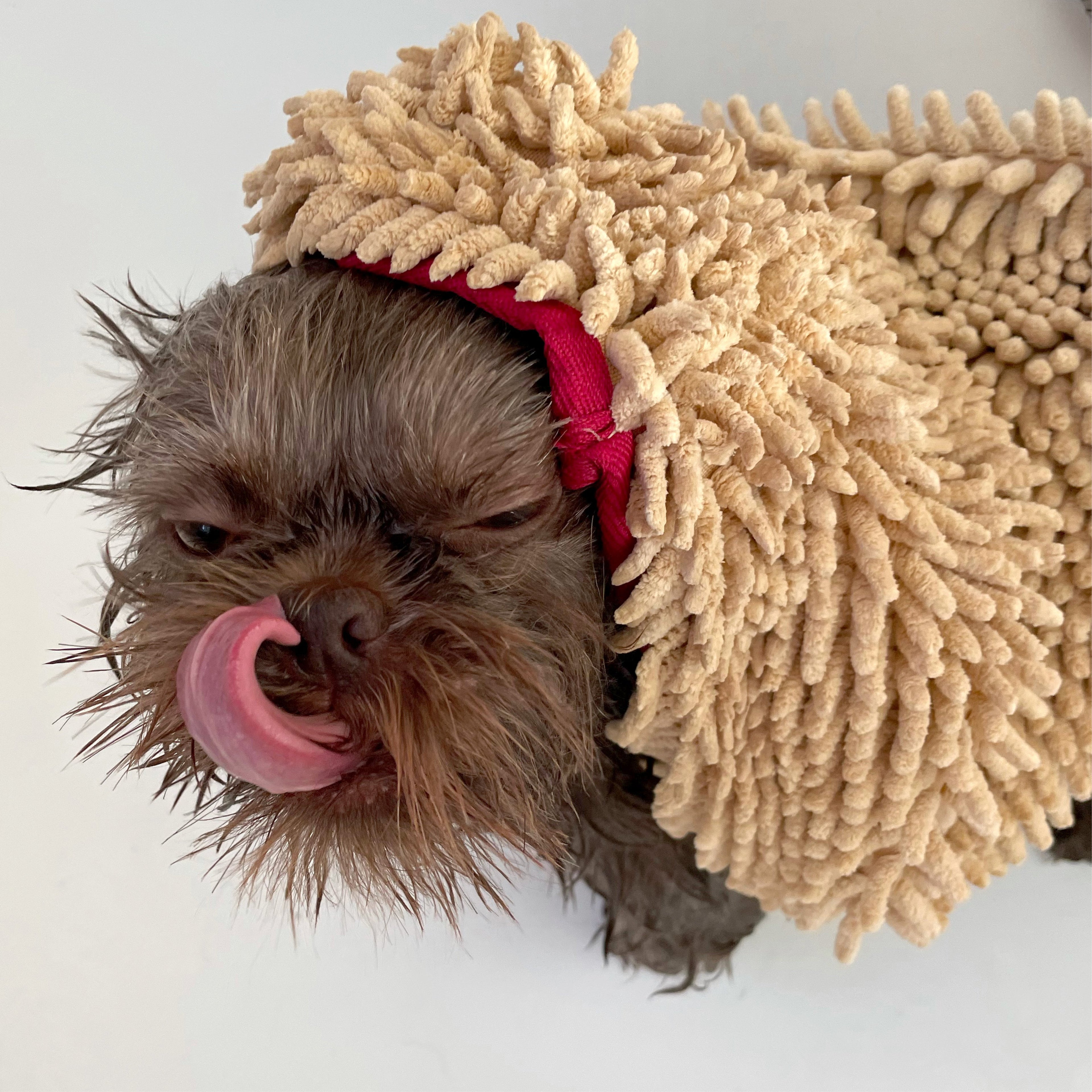 THE TOWEL Microfiber Dog & Cat Drying Towel — Hand Pockets, Odor-Resistant & 7× Water Absorbent - Coastal Paw & Co