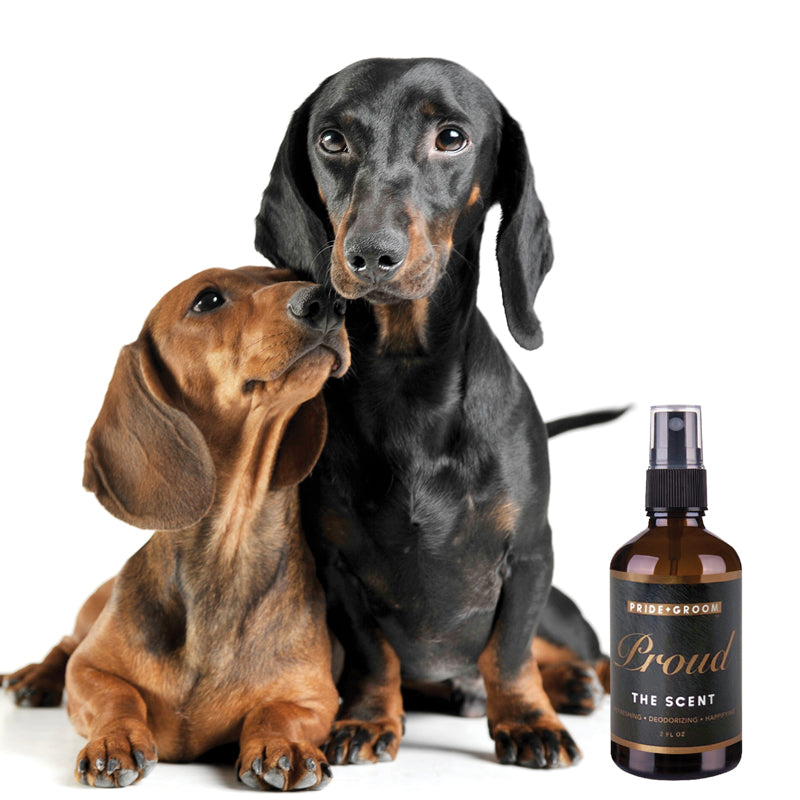 PROUD Dog & Cat Perfume Spray — Natural Deodorizing Pet Cologne with Bergamot & Citrus - Coastal Paw & Co