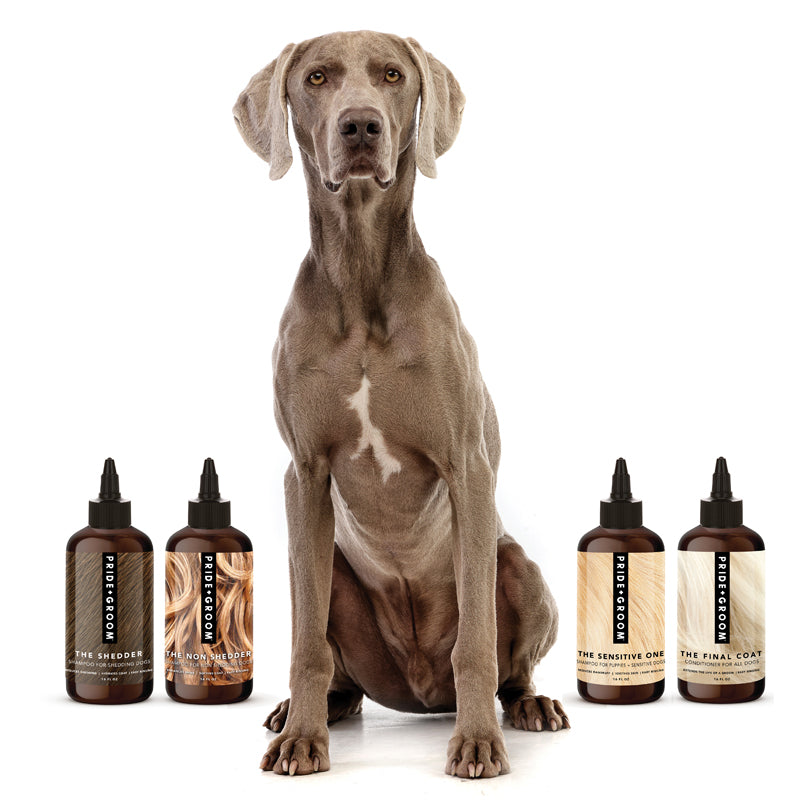 THE WASH SAMPLE PACK — Try PRIDE+GROOM's Best-Selling Dog Shampoos & Conditioner - Coastal Paw & Co