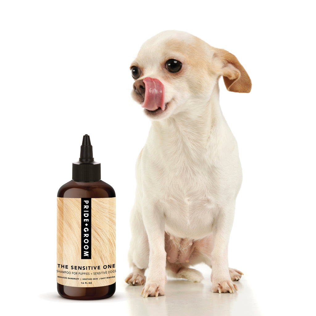 THE SENSITIVE ONE Hypoallergenic Dog & Puppy Shampoo — With Hemp Oil, Aloe & Oatmeal for Sensitive Skin - Coastal Paw & Co