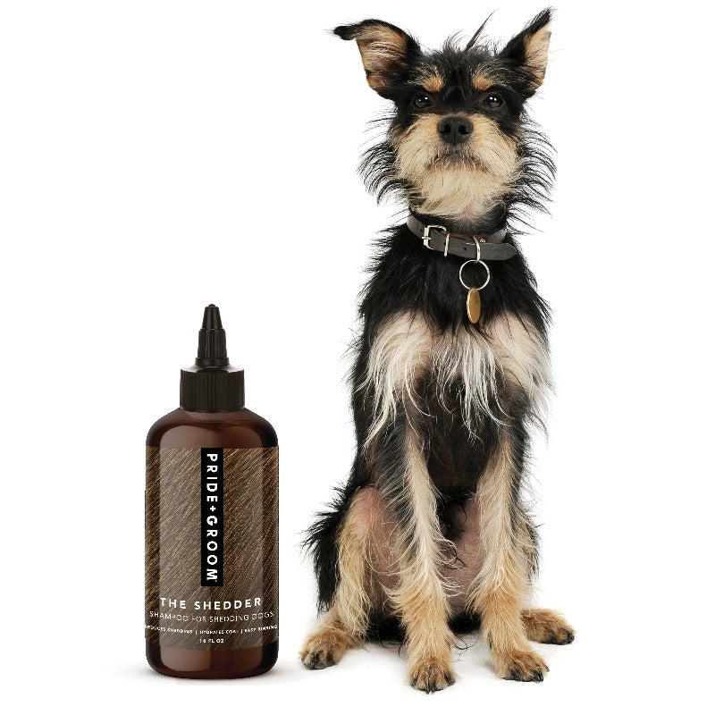 THE SHEDDER Dog Shampoo — Natural, Moisturizing De-Shedding Shampoo for Dogs Who Shed - Coastal Paw & Co