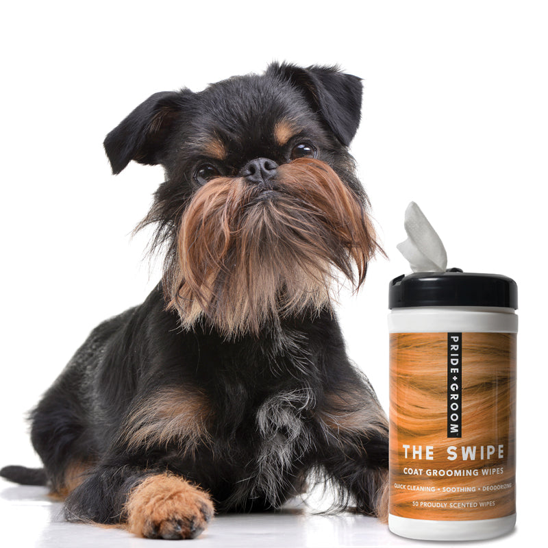 THE SWIPE Wet Pet Wipes — Alcohol-Free, Hypoallergenic Cleansing Wipes for Dogs & Cats - Coastal Paw & Co
