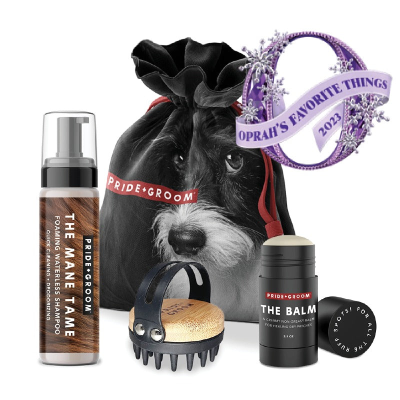 THE TOOL KIT | Complete waterless dog grooming set. Includes foaming shampoo, moisturizing balm & grooming brush. - Coastal Paw & Co