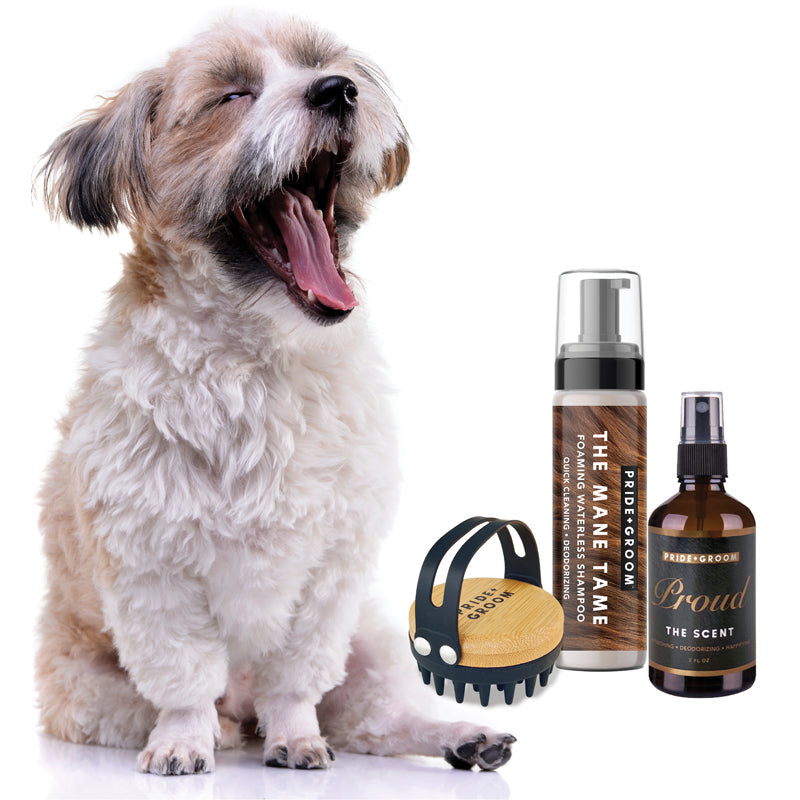 THE TOOL KIT | Complete waterless dog grooming set. Includes foaming shampoo, moisturizing balm & grooming brush. - Coastal Paw & Co