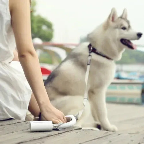 Person holding coastal Paw & Co dog leash with attached waste bag dispenser by waterfront with sitting husky dog