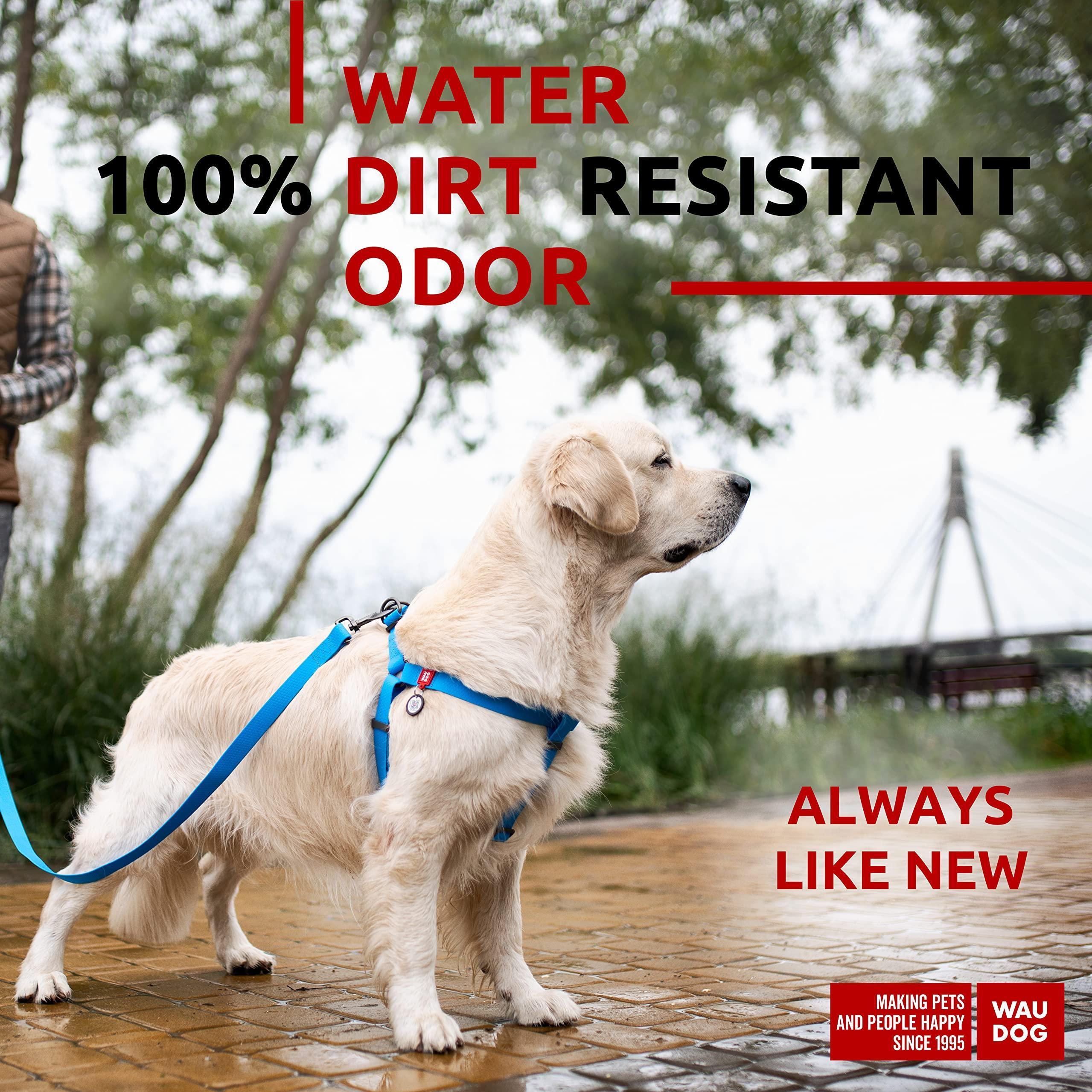 WAUDOG Waterproof Adjustable Dog Harness with Durable Metal Clasp and QR Dog Tag, Blue (24-35In)