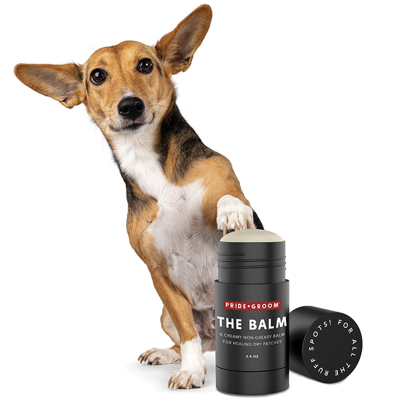 THE BALM Healing Pet Balm — Natural Paw & Nose Moisturizing Balm for Dogs & Cats - Coastal Paw & Co
