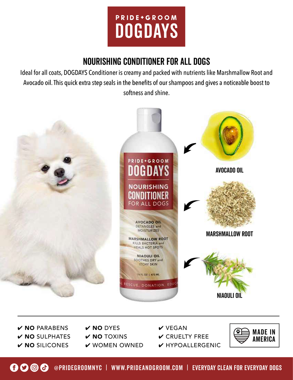 DOGDAYS Moisturizing Dog Conditioner — Hypoallergenic, Detangling, and Soothing for All Coat Types - Coastal Paw & Co